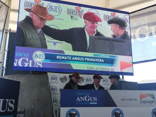 tn_IMG_20240916_114618000