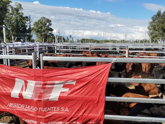 tn_IMG_20240406_162503101