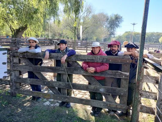 tn_IMG_20240502_121046567_HDR