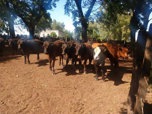 tn_IMG_20231213_094829163