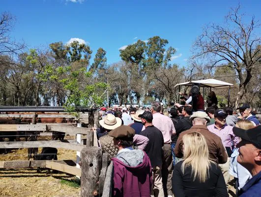 tn_IMG_20240925_133758565