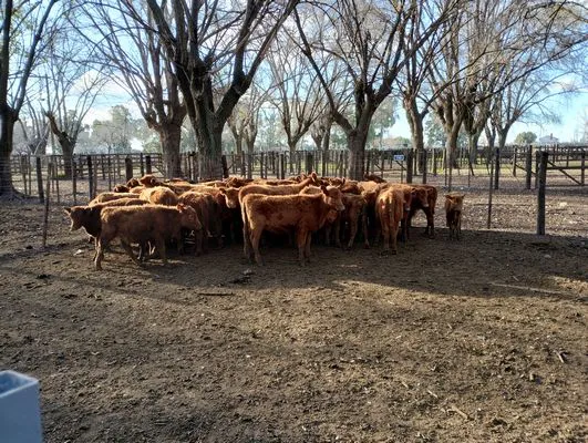 tn_IMG_20240628_155139763_HDR