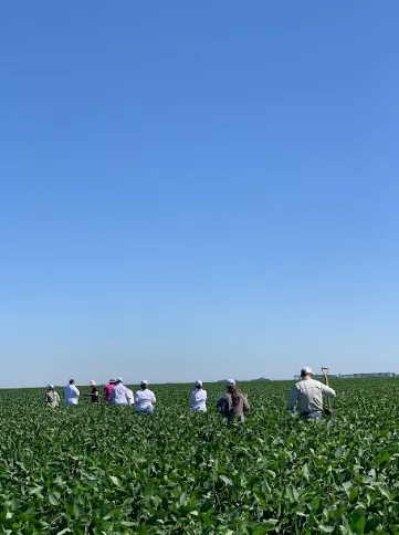 Jóvenes en el campo - Yara