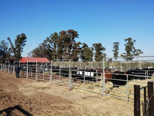 tn_IMG_20240711_112847278