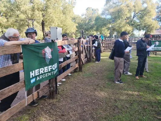 tn_IMG_20250508_151719262