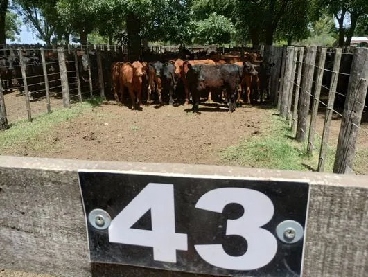 tn_IMG_20241211_123743725_HDR