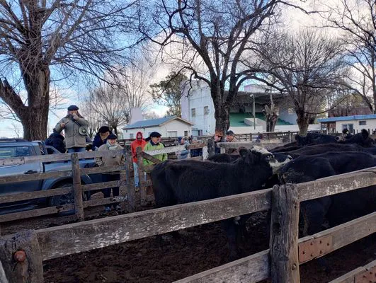 tn_IMG_20240628_144345439_HDR