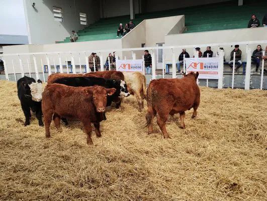 tn_IMG_20240731_125055073