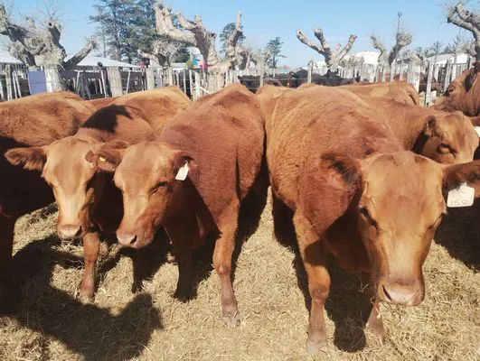 tn_IMG_20240912_111927317