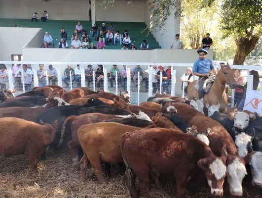 tn_IMG_20240326_144603590