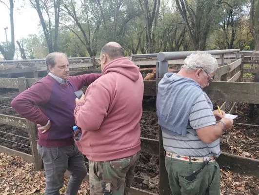 tn_IMG_20250505_155049819