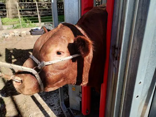 tn_IMG_20240501_110040522_HDR