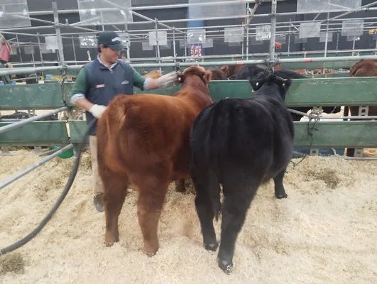 tn_IMG_20250519_102050564