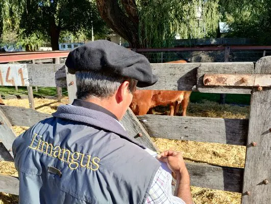 tn_IMG_20240502_143057739_HDR