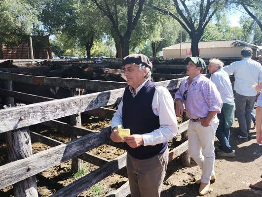 tn_IMG_20240326_140627243_HDR