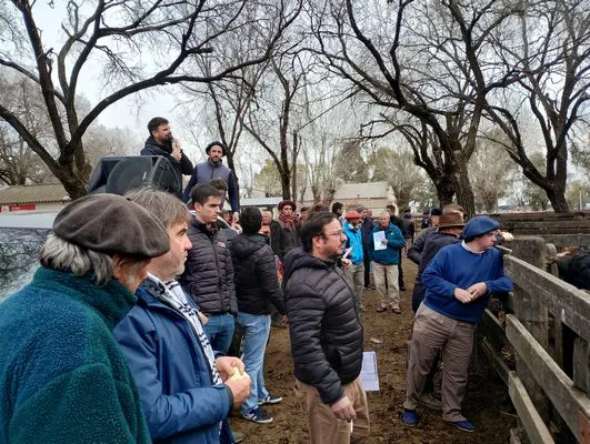 tn_IMG_20240731_114503590_HDR