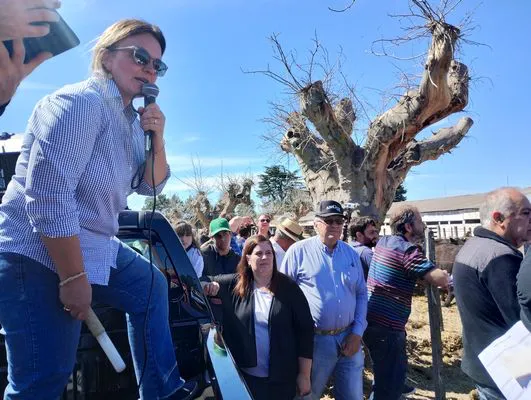 tn_IMG_20240912_134645971_HDR