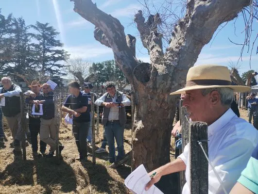 tn_IMG_20240912_132857415