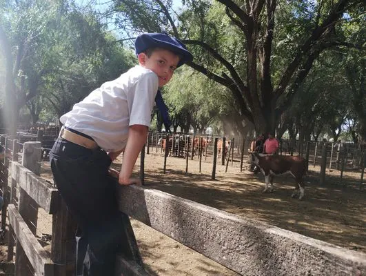 tn_IMG_20250220_155929964