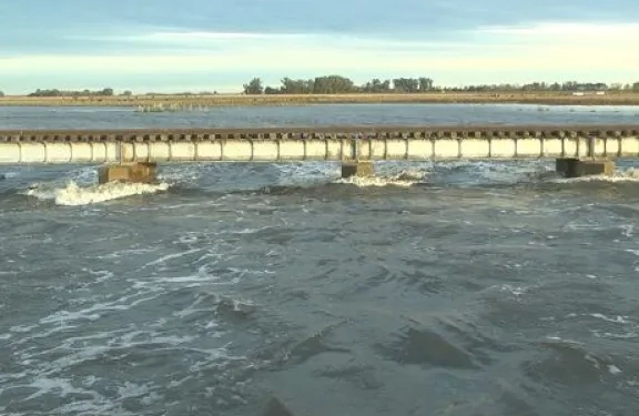 puente-bragado-ruta-5-rio-salado-bichos-de-campo-576x375