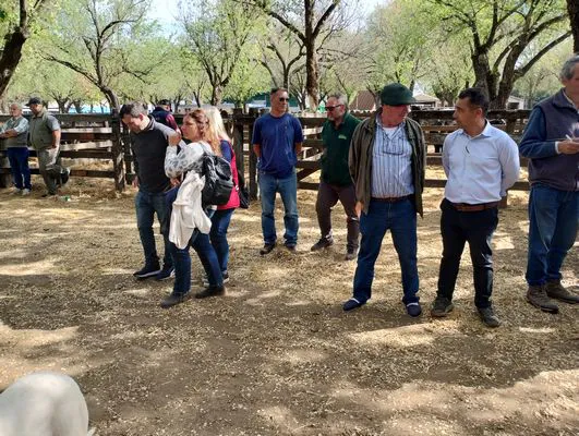 tn_IMG_20241008_155803299_HDR