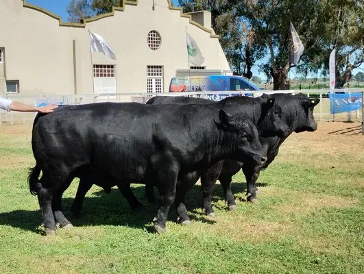 tn_IMG_20241002_110017944_HDR