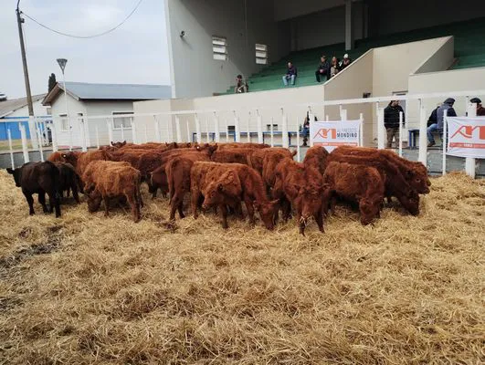 tn_IMG_20240731_120711856