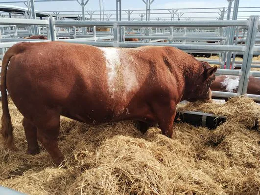 tn_IMG_20250604_121623225