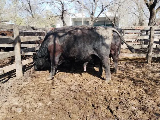 tn_IMG_20240828_120406636