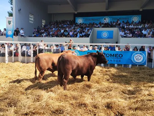 tn_IMG_20241018_152747811