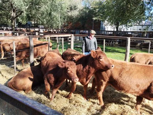 tn_IMG_20240502_150430296_HDR