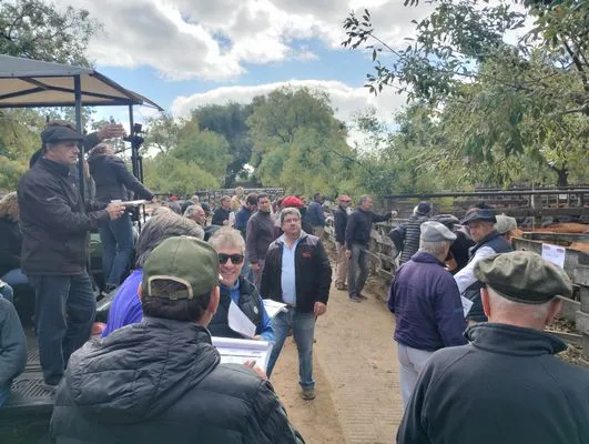 tn_IMG_20250404_151228537_HDR