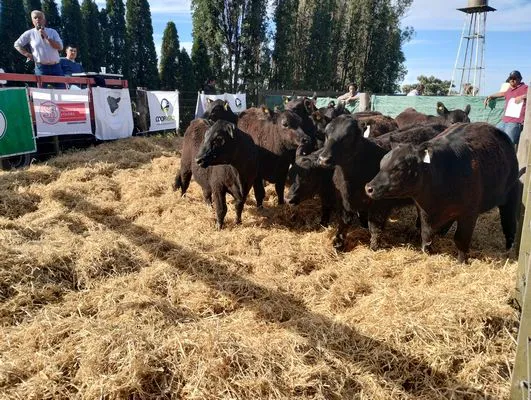 tn_IMG_20240924_161636557_HDR