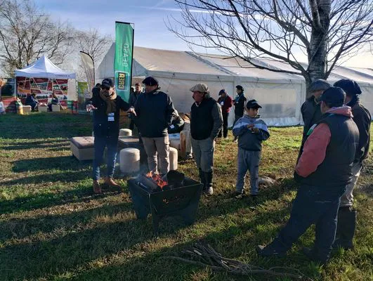 tn_IMG_20240611_101646353_HDR