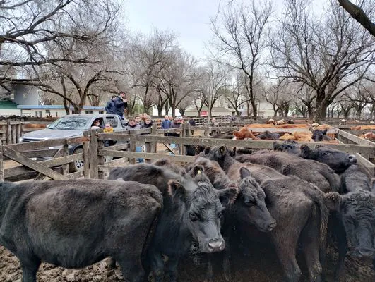 tn_IMG_20240626_115732404_HDR