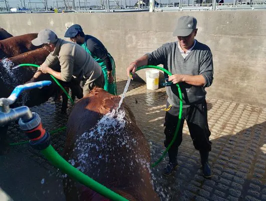 tn_IMG_20250604_141405588_HDR