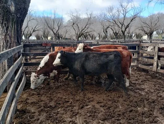 tn_IMG_20240628_143524916_HDR