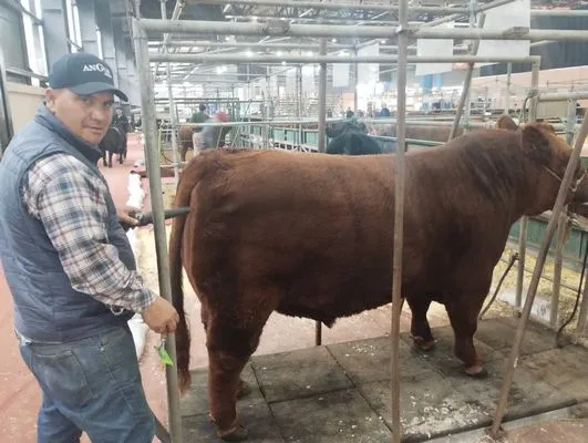 tn_IMG_20250519_113358028