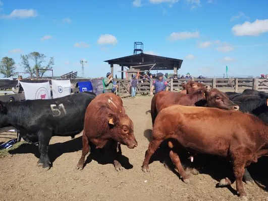 tn_IMG_20250409_114203181