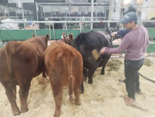 tn_IMG_20250519_111343077