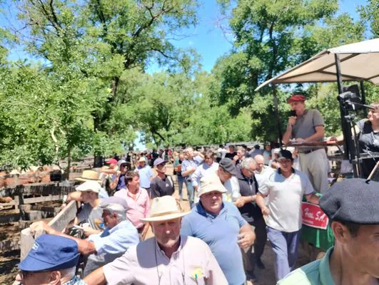 tn_IMG_20241129_142144858_HDR