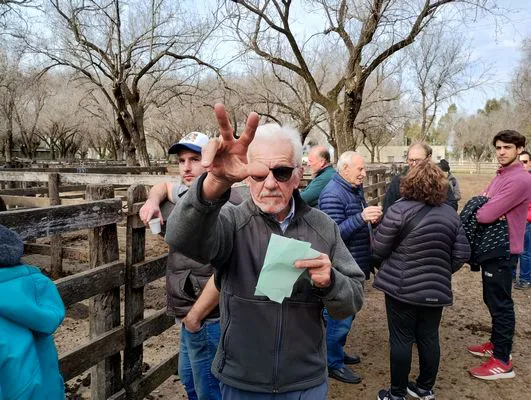 tn_IMG_20240718_152016753_HDR