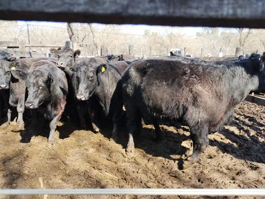 tn_IMG_20240829_122256641_HDR