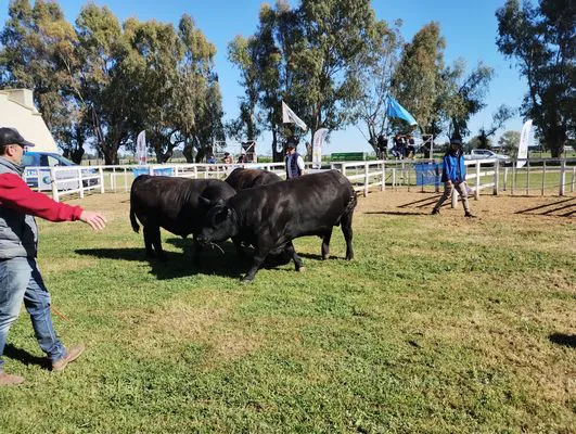 tn_IMG_20241002_100012154