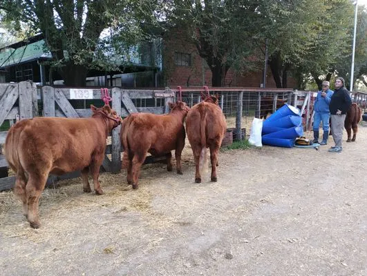 tn_IMG_20240501_171345734