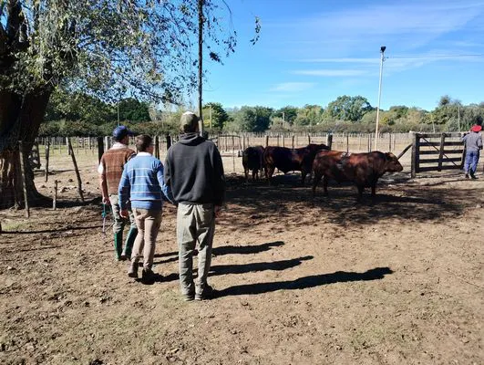 tn_IMG_20240501_121925105_HDR