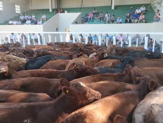 tn_IMG_20240214_163952963