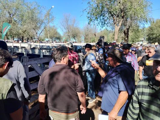 tn_IMG_20250424_141843502_HDR