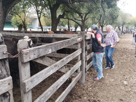 tn_IMG_20250425_154909069