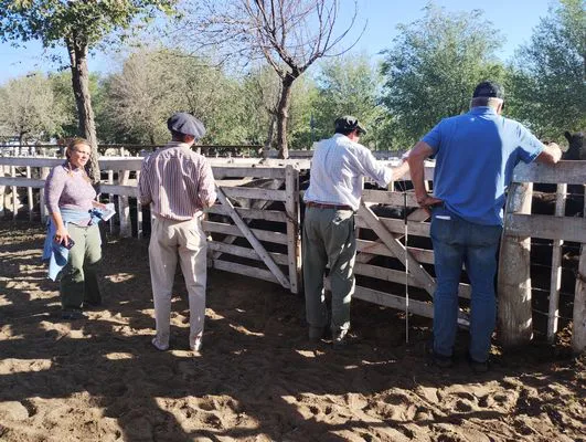 tn_IMG_20240405_165501882